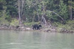 resIMG_20170716_173732_8750.JPG